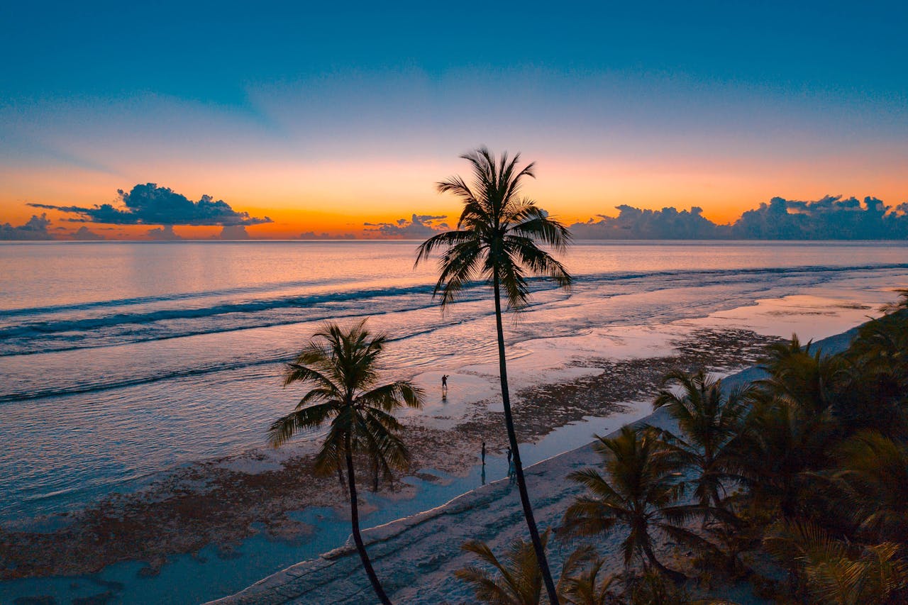 Crafting Captivating Headlines: Your awesome post title goes here A tranquil tropical beach scene at sunset with palm trees and gentle ocean waves.